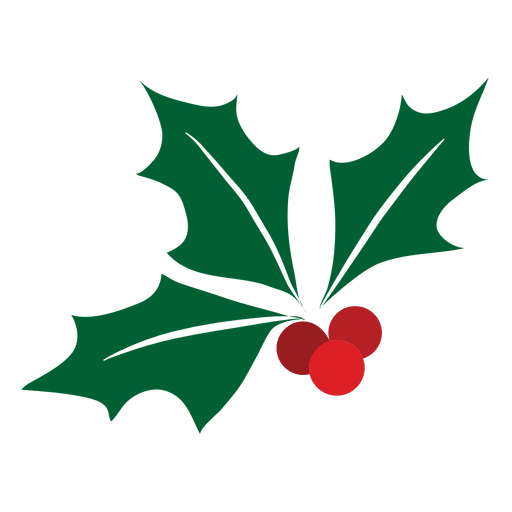 Mistletoe icon 28