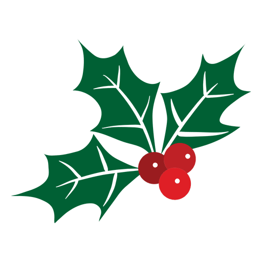Mistletoe icon 30 PNG Design