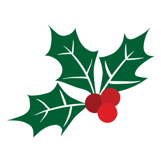 Mistletoe icon 32 PNG Design