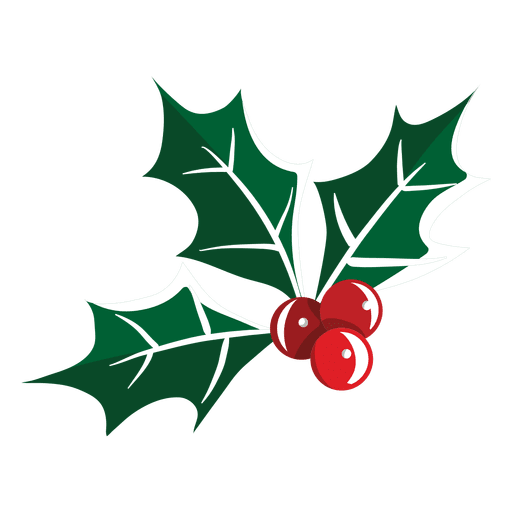 Mistletoe icon 33