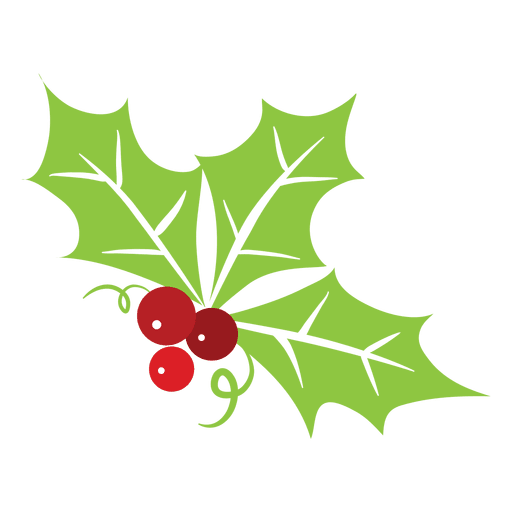 Download Mistletoe icon 4 - Transparent PNG & SVG vector file