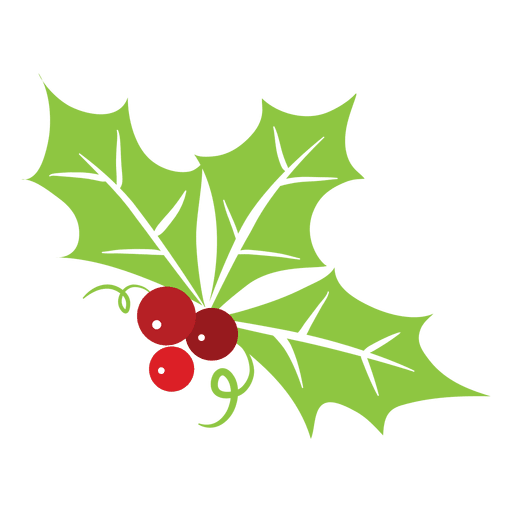 Mistletoe icon 4 PNG Design