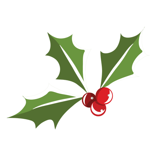 Download Mistletoe icon 5 - Transparent PNG & SVG vector file