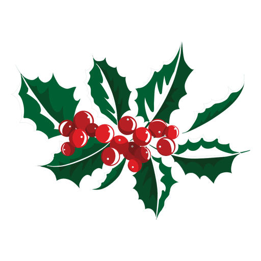 Mistletoe icon 8 PNG Design