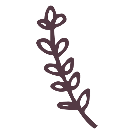 Hand gezeichnetes Symbol des Olivenzweigs 12 PNG-Design