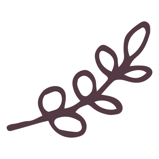 Icono dibujado a mano rama de olivo 13