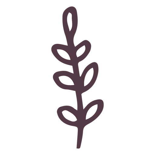 Hand gezeichnete Ikone des Olivenzweigs 9 PNG-Design