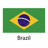 Brazil National Flag PNG & SVG Design For T-Shirts