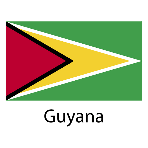 Bandera nacional de guyana Diseño PNG