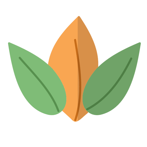 flat leaves natural illustration transparent png svg vector file flat leaves natural illustration