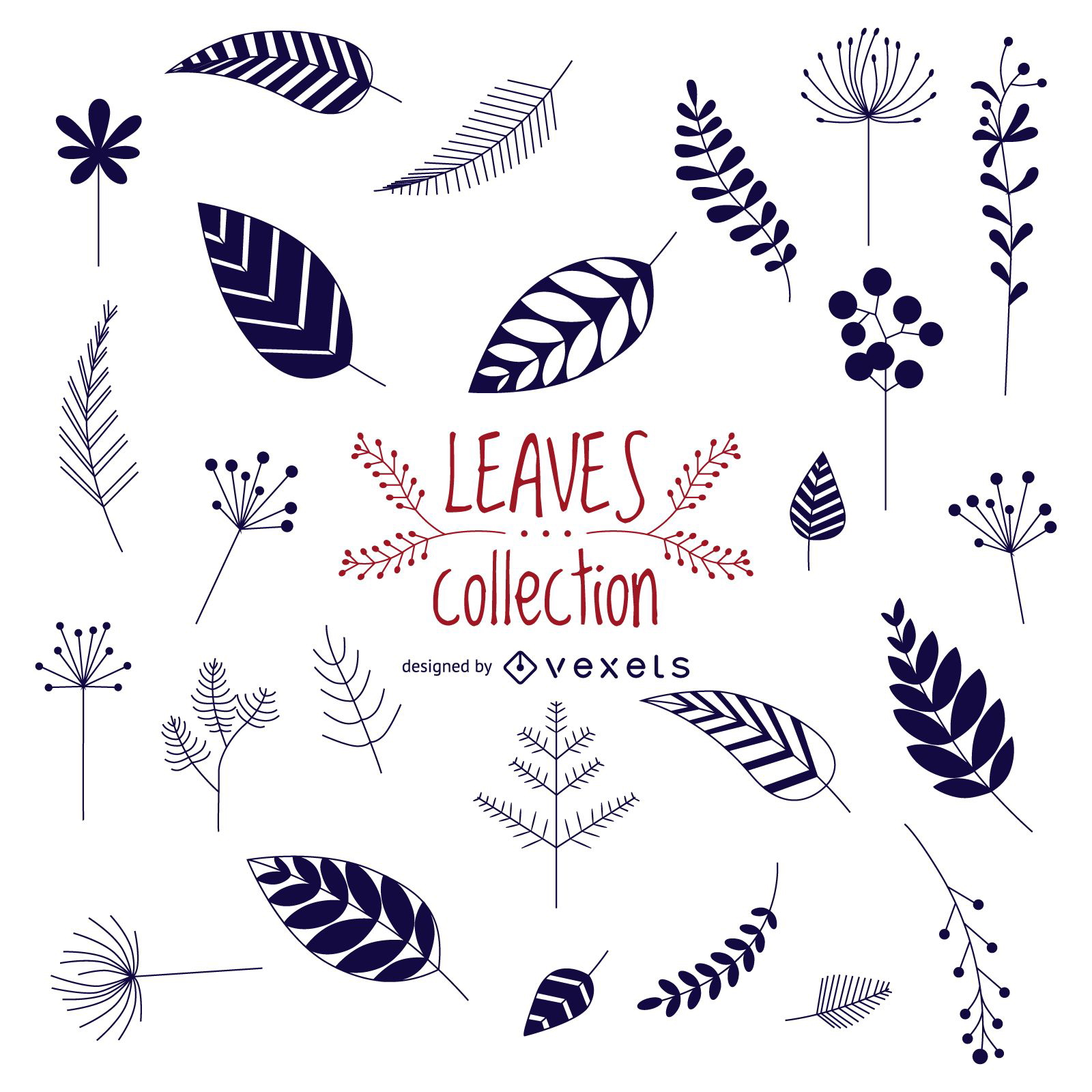 Hand drawn leaves collection