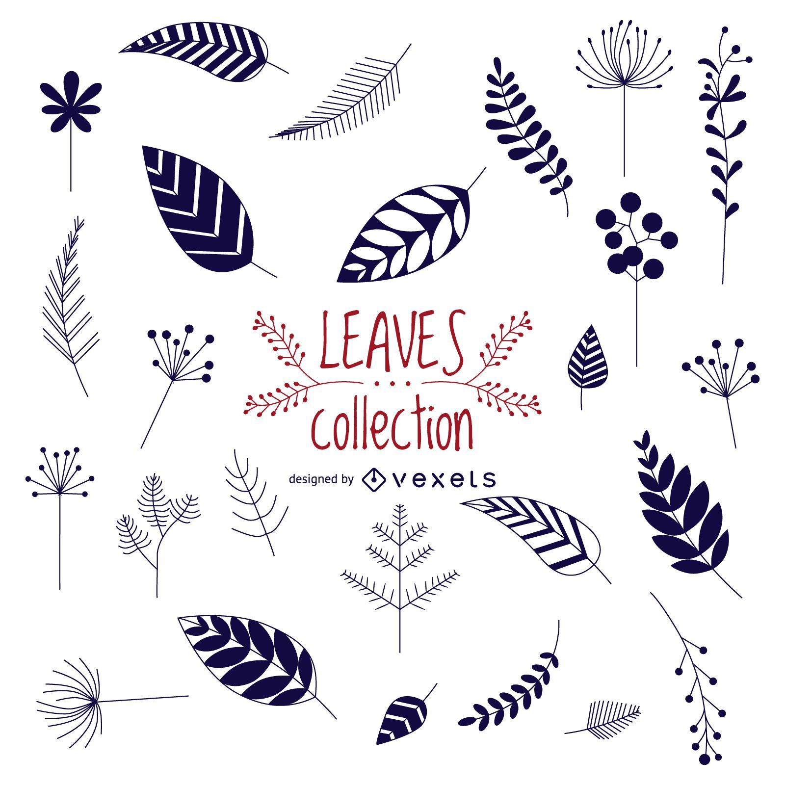 Leaves collection