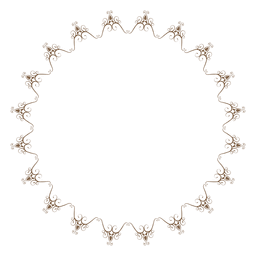 Marco de círculo decorativo Diseño PNG