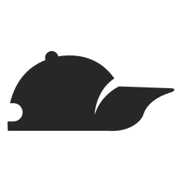 Baseball hat PNG Design