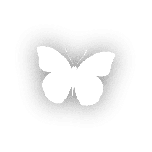 butterflies png