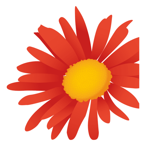 Daisy flower - Transparent PNG & SVG vector file