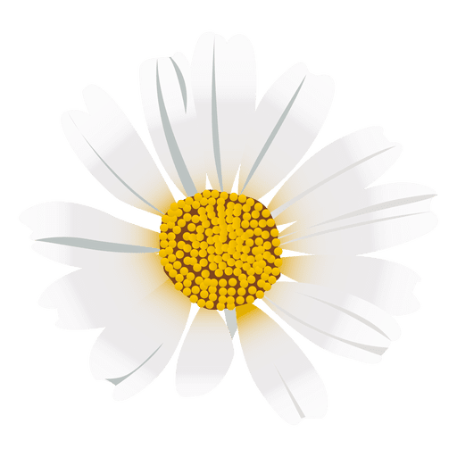 Daisy flower cartoon PNG Design