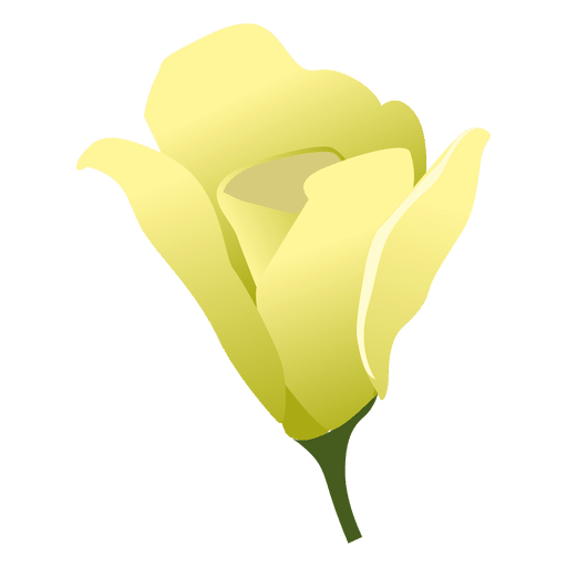 Desenho de flor Gardenia Desenho PNG