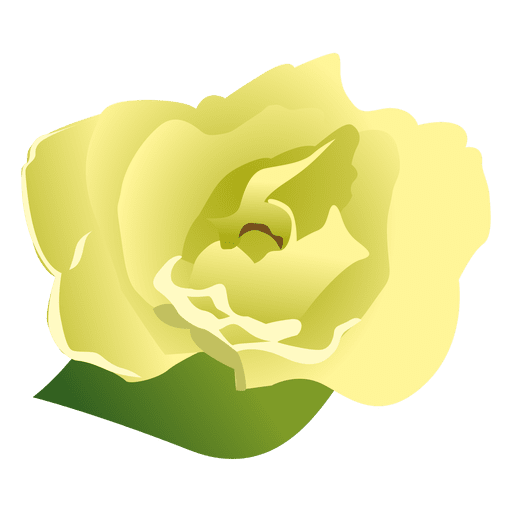 Desenho de flor Gardenia 2 Desenho PNG