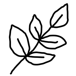 Hand drawn leaf PNG Design