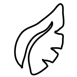 Folha da planta desenhada à mão 1 Desenho PNG
