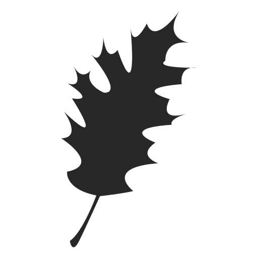 Maple leaf silhouette PNG Design