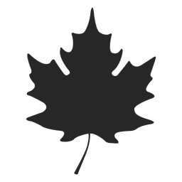 Silhueta de folhas de bordo Desenho PNG