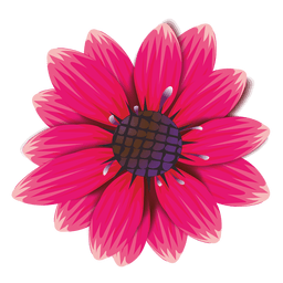 Maroon flower cartoon Maroon flower cartoon