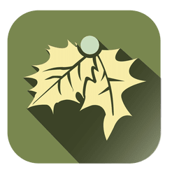 Mistelquadrat-Ikone PNG-Design
