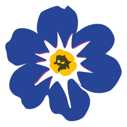 Desenho de flor Myosotis 1 Desenho PNG