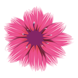 Pink gerbera flower PNG Design Transparent PNG