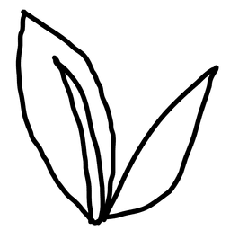 Hojas de plantas Diseño PNG