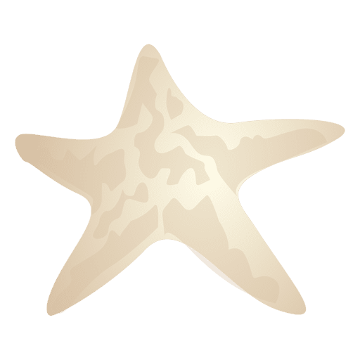 Estrelas do mar Desenho PNG