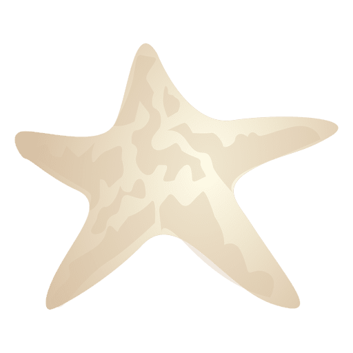 Pez estrella Transparent PNG Pez estrella Transparent PNG