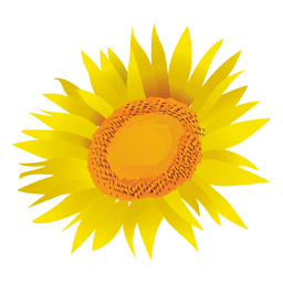 Dibujos animados de girasol Diseño PNG