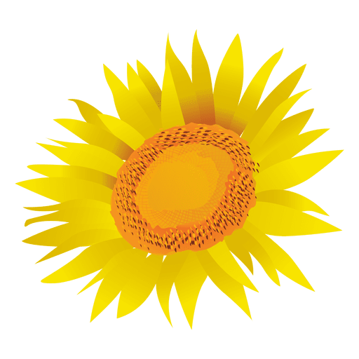 Sunflower cartoon PNG Design