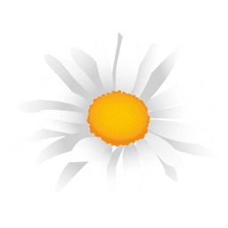 White Daisy Cartoon PNG & SVG Design For T-Shirts