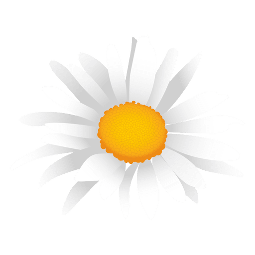 Dibujos animados de margarita blanca - Descargar PNG/SVG transparente