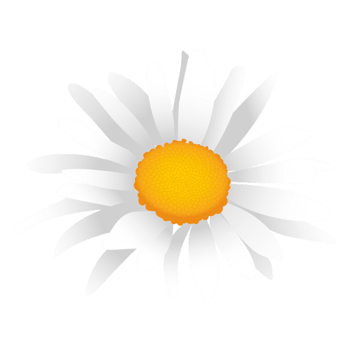 Weißer Gänseblümchenkarikatur PNG-Design