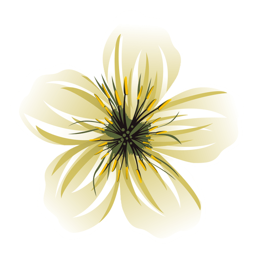White flower cartoon