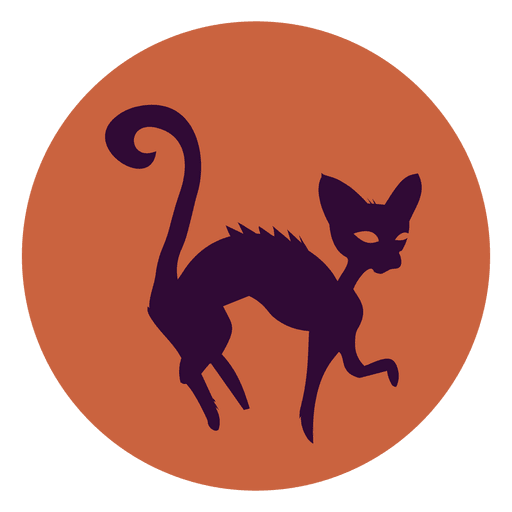 Witch cat circle icon