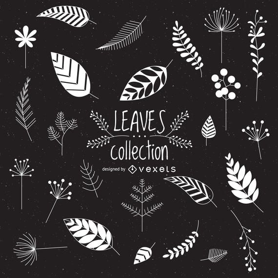 Illustrated leaves collection Illustrated leaves collection