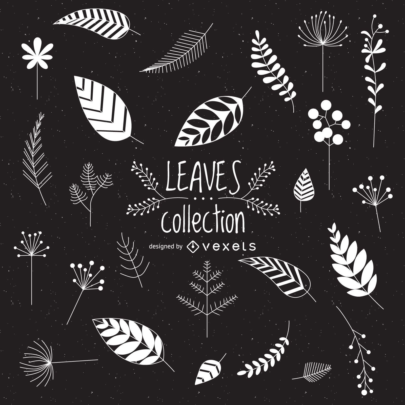 Illustrated leaves collection