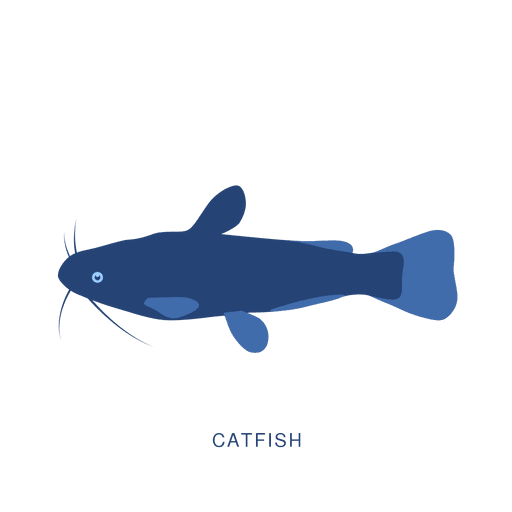 Catfish fish fishing animal PNG Design