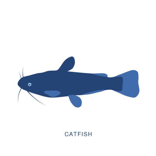 Pez bagre pesca animal Transparent PNG Pez bagre pesca animal Transparent PNG