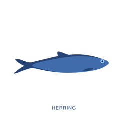 Herring fish fishing animal PNG Design