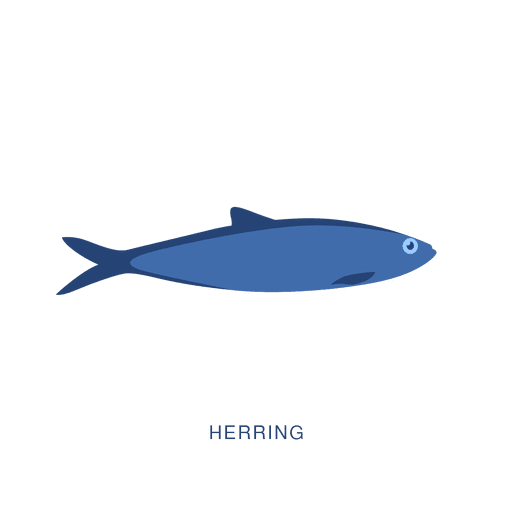 Heringsfischfangtier PNG-Design
