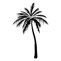Silueta de palmera en negro Diseño PNG