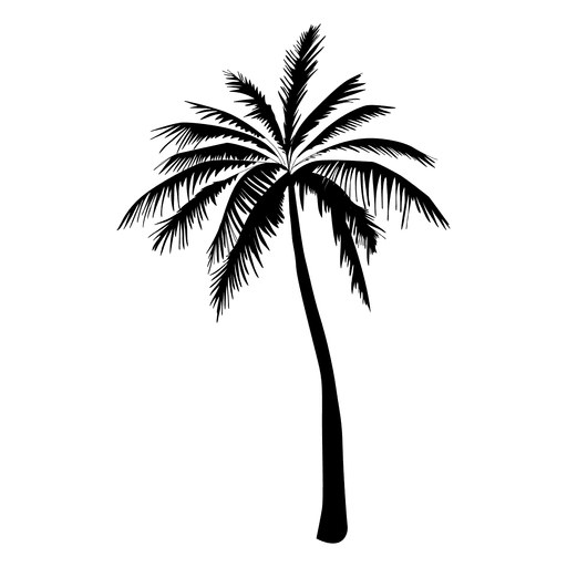 Palmenschattenbild in Schwarz PNG-Design