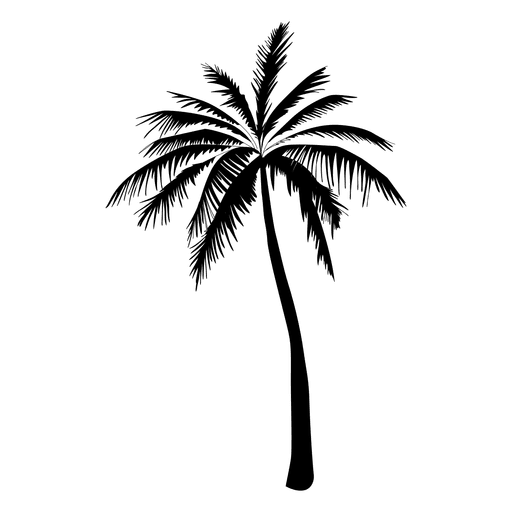 Silueta de palmera en negro - Descargar PNG/SVG transparente